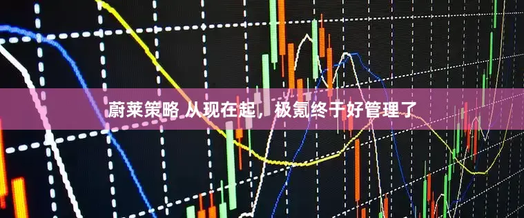 蔚莱策略 从现在起，极氪终于好管理了