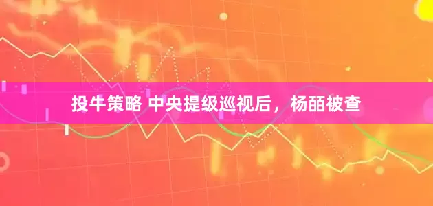 投牛策略 中央提级巡视后，杨皕被查