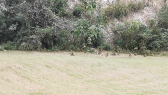 第一证券 杭州这里的“大师兄”家族又壮大了！竟与20多年的一场“越狱”有关！
