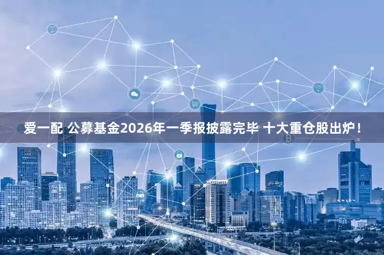 爱一配 公募基金2026年一季报披露完毕 十大重仓股出炉！
